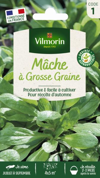 Potagères - Mâche à Grosse Graine - PACKAGING_RECTO